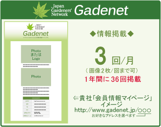 JGN法人会員Gadenet掲載内容