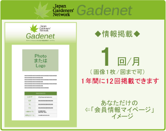 JGN個人会員Gadenet掲載内容